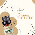 IKEBANA Rosemary Essential Oil - 20ml. 