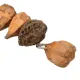 Bird Chew Toys, Parrot Nuts Chew Toy Decorative for Budgies for Macaws. 