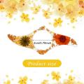 Resin Book Page Holder Transparent Thumb Ring Book Mark Handmade Personalized Flower Resin Bookmark Book Reading Accessories for Teachers Dried Flower. 
