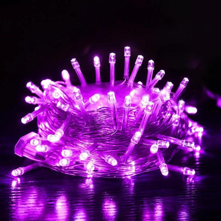Decorative Fairy Lights -Purple - Fairy Lights