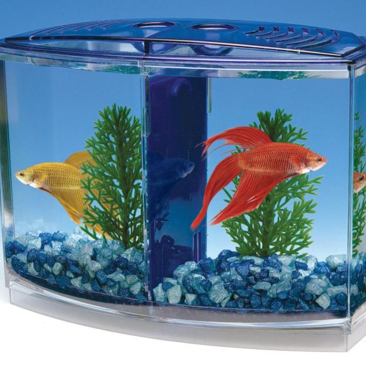 Betta House Double (Betta Fish Aquarium)