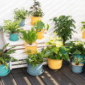 er Pot Durable Strong Construction Bright-colored Pot.
