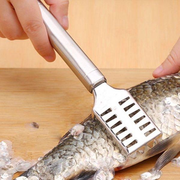 Stainless%20Steel%20Fish%20Scale%20Cleaner%20-%20Image%203