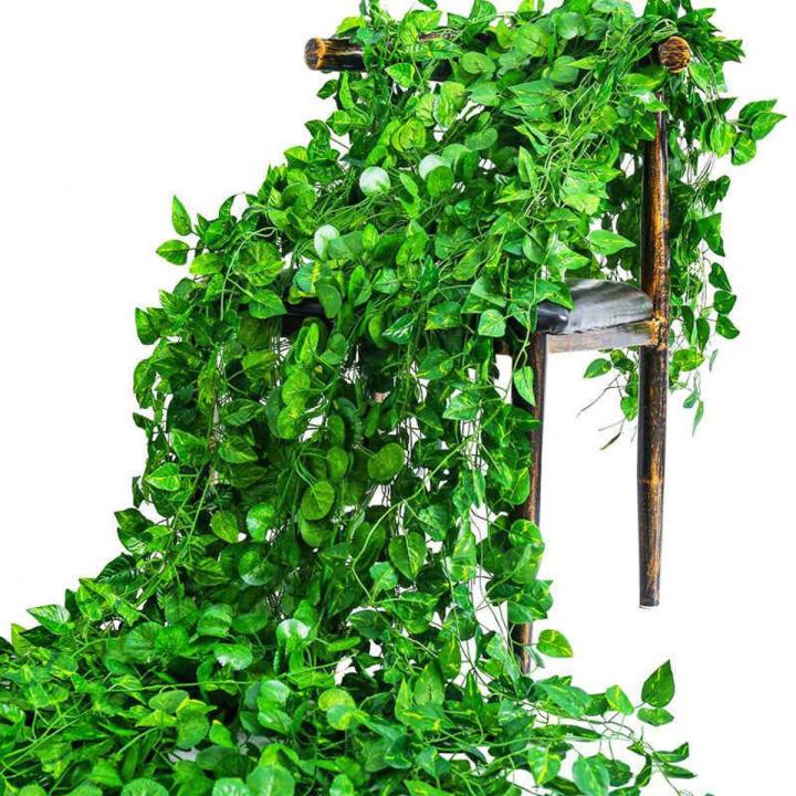Eastern%20Bazar%20Artsy%20Artificial%20money%20plant%20leaves%20home%20decoration%20wall%20hanging%20pack%20of%2012%20PCS%20Long%206.5%20feet%20per%20pcs%20Total%20length%2078%20feet%20-%20Image%203
