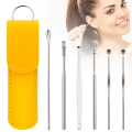 Ear Pick Set Portable Ear Cleaner Set Stainless Steel With Lather Case-6PCS.