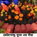 Marigold Flowers Seeds 18 Pice + gift.