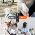 DOGCARE Ultrasonic Dog Repeller No Dog Noise Anti Barking Stop Bark Electronic Dog Training Device 2 Mode With LED Flash Light. 