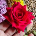 Artificial Rose Flower large size for making jewelry or Decoration-2 pcs.