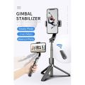 AY-49 Remote Control Vlogging Video Making Kits Microphone LED Fill Light Mini Tripod - Ring Light combo offer. 
