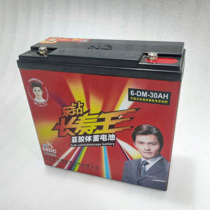 12v%20Dry%20Cell%20Battery%2030A%20for%20IPS%20UPS%20Ebike%20Solar%20-%20Image%205