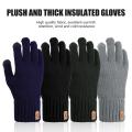 Autumn Winter Warm Fleece Lined Knitted Gloves Women Elastic Cuff Skiing Touchscreen Mittens. 