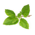 Tulsi beej/Basil Seeds (তুলসী বীজ) - 20 Pcs.