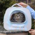 Cat Cats Bag, when Going Out, Travel Bag, Unique Breathable with Shoulder Strap blue. 
