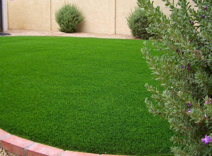 1000%20pcs%20intact%20F-1%20hybrid%20lawn%20grass/carpet%20grass%20seeds%20(intact%20packet)%20-%20Image%202