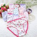 10Pcs/Lot Cotton Panties Children Underwear Child Cartoon Shorts Underpants Girl Briefs 1-12Years. 