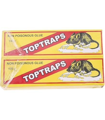 Rat%20Killing%20Glue%20China%20Mouse%20Non%20Poisonous%20Killing%20Glue%20135gm%20Trap%20easy%20catch%20Insect%20Lizard%20Pest%20Sticky%20Mouse%20Trap%20for%20Restaurant%20Kitchen%20Hotel%20Office%20House%20-%20Image%203