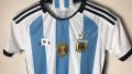 Argentina 2022 World Cup Jersey Player Edition Short Sleeves Qatar 2022. 