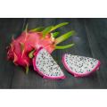 10 Pcs Dragon Pitaya Fruit Seeds - 10 Pcs Seeds (Global Imported). 