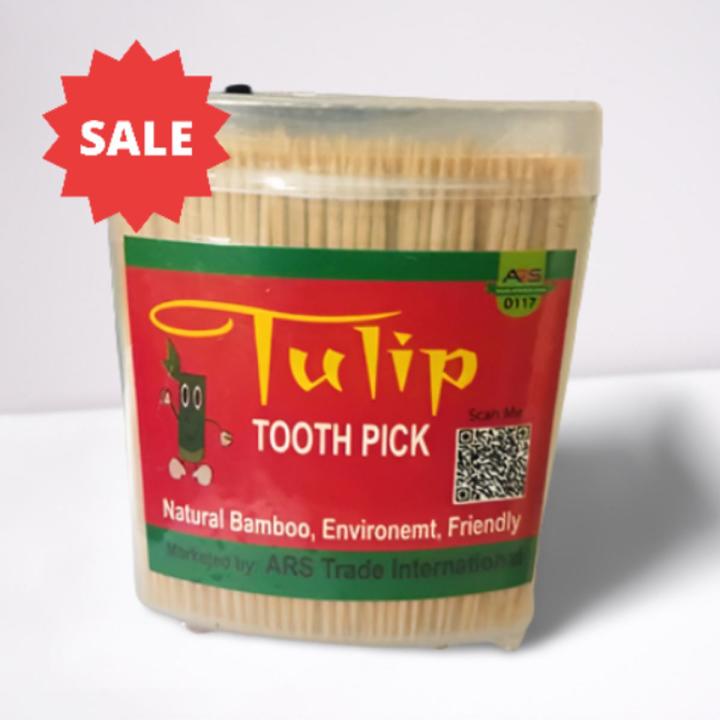 Wooden Toothpicks ( Pack of 100 )