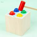 Montessori Object Permanence Box Hand Eye Coordination for Preschool Toddler. 