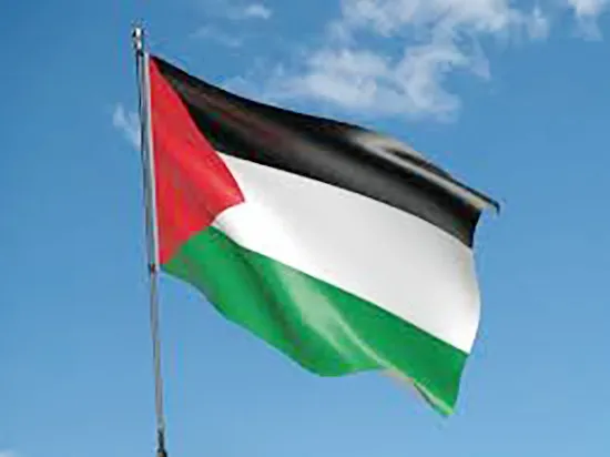 Palestine%20National%20Flag%203ft%20x%202ft%20-%20Image%203