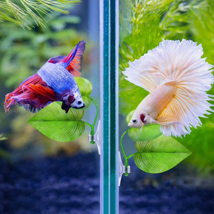 Betta%20Fish%20Leaf,%20Betta%20Leaf%20Hammock%20Lightweight%20Double%20Leaf%20Plastic%20with%20Suction%20Cup%20for%205-10L%20Water%20Tank%20-%20Image%204