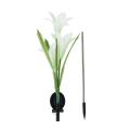 Migeet Outdoor LEDs Path Lamp Solar Garden Stake Lights Garden Solar Powered Flower Decorative Lights.