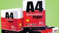 Bashundhara Paper A4 Size (80 GSM) 1 rim 500 sheet. 