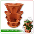 3 Pcs Set Lotus Flower Tub with tray Sandal Wood  - 4 Litre. 