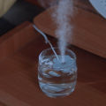 Portable USB petal haped humidifier/aromatherapy/purifier. 