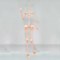 Presale Doll Parts for 1/4 Imomo Doll Skeleton Mechanical Joint Movable Doll Replacement Doll Accessories. 