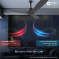 Orient Electric Aerosense BLDC 48" Ceiling Fan with Remote (Ash Wood).