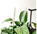 Stainless Steel Straw Cleaning Brush - 200 mm. 