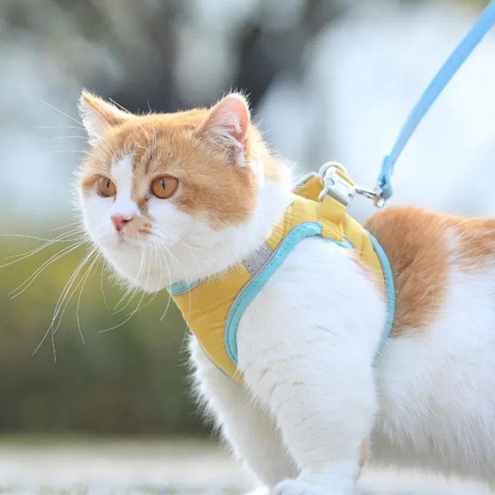 Pet%20Chest%20Harness%20Reflective%20%20Collar%20Training%20Collar%20Harness%20For%20Small%20Puppy%20%20%20Adjustable%20s%20Leads%20Chest%20Ss%20-%20Image%207