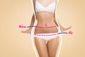 China Imported NYC Brand women's wear under pant cotton panty comfortable panty flower panty. 