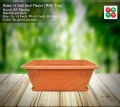 12 Inch Seed Planter (With Tray). 