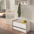 Shoe Rack Storage Bench with Large Cabinet & Drawer – Multipurpose Entryway Organizer.