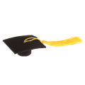 1Pc Graduation Hat Mini Doctoral Cap Costume Graduation Cap with Tassels Hudduo.