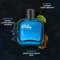 Wild Stone - Hydra Energy Premium Perfume for Men, Long Lasting Eau De Parfum|Luxury Fragrances - 100ml. 