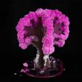Artificial Trees Decorative Science Toys Japan Desktop Cherry Blossom Sakura Crystal Trees Magically Paper Magic Growing Tree. 