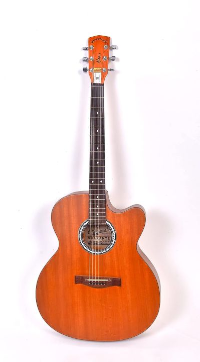 Indian%20Signature%20Gogos%20Acoustic%20Guitar%20Brown%20colour%20with%20Free%20Bag%20-%20Image%202
