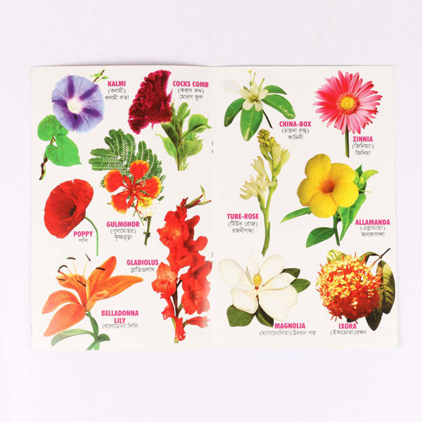 8%20PCS%20Laminated%20Kids%20Book%20Set%20%E2%80%93%20Fruits%20Flowers%20Birds%20Fish%20Vegetables%20Reptiles%20Vehicles%20&%20Animals%20Picture%20Learning%20Alphabet%20in%20Bangla,%20English%20Letter%20Early%20Education%20Preschool%20Kindergarten%20Toddler%20Study%20for%20Children%20-%20Image%203