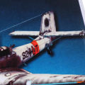 Skinye [Ready Stock] Kawayi Cute 1:33 Germany Junkers Ju-87 D-3 Bomber Aircraft Plane DIY Paper Model Kit. 
