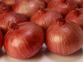 Onion Seeds - 100 pcs Imported F1 Hybrid Spring Cut Bunching.