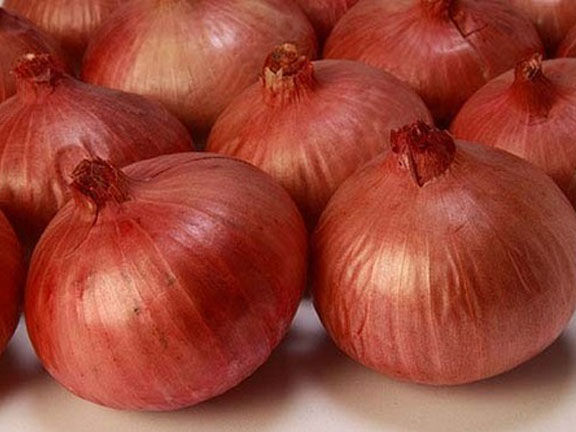 Onion%20Seeds%20-%20100%20pcs%20Imported%20F1%20Hybrid%20Spring%20Cut%20Bunching%20-%20Image%205
