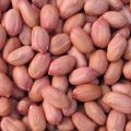 Premium Quality Raw Peanuts - 1 Kg. 