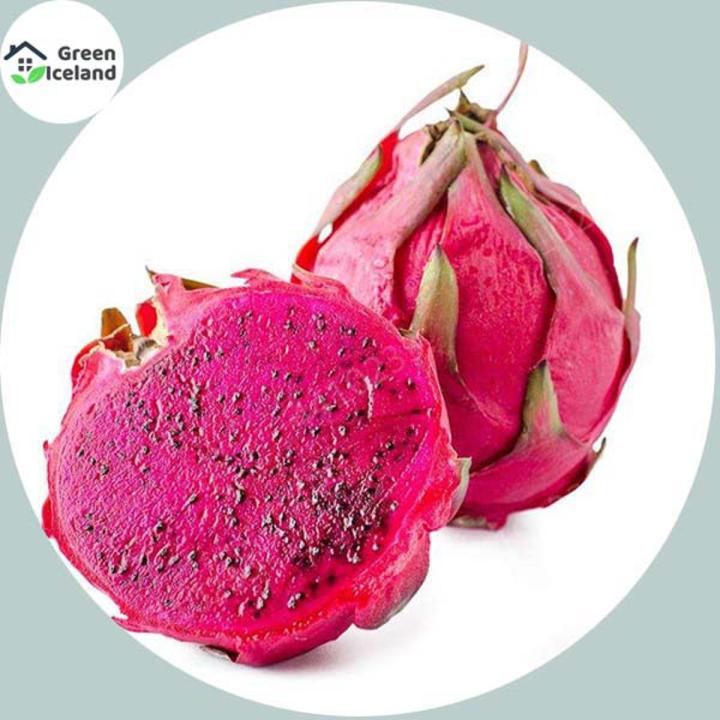 20 Pcs All Season Dragon Pitaya Fruit Seeds - 20 Pcs Seeds