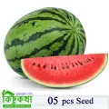 Watermelon Seed - 05/10/15 pcs F1 Hybrid All Season Seed - বারমাসি তরমুজের বীজ সবুজ রঙ. 
