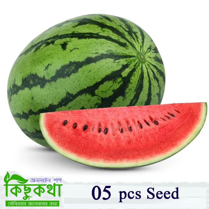 Watermelon%20Seed%20-%2005/10/15%20pcs%20F1%20Hybrid%20All%20Season%20Seed%20-%20%E0%A6%AC%E0%A6%BE%E0%A6%B0%E0%A6%AE%E0%A6%BE%E0%A6%B8%E0%A6%BF%20%E0%A6%A4%E0%A6%B0%E0%A6%AE%E0%A7%81%E0%A6%9C%E0%A7%87%E0%A6%B0%20%E0%A6%AC%E0%A7%80%E0%A6%9C%20%E0%A6%B8%E0%A6%AC%E0%A7%81%E0%A6%9C%20%E0%A6%B0%E0%A6%99%20-%20Image%206