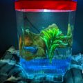 Betta Aquarium , Betta  House With Light , Fish Tank.. 